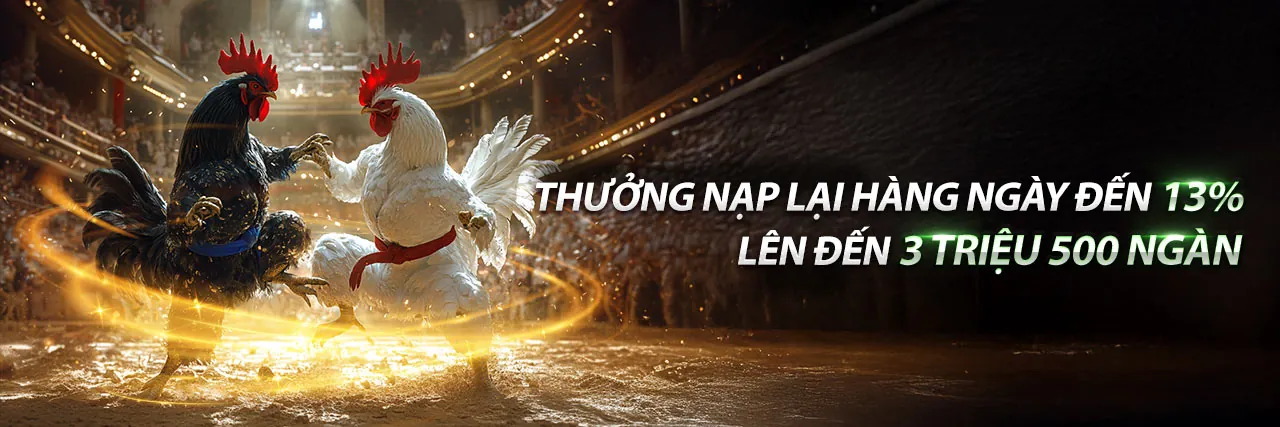 Đá Gà Trực Tiếp GD86 App 2026